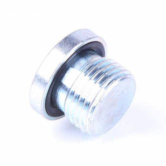 Allen plug. ZN124 B G1 / 2 "with seal.